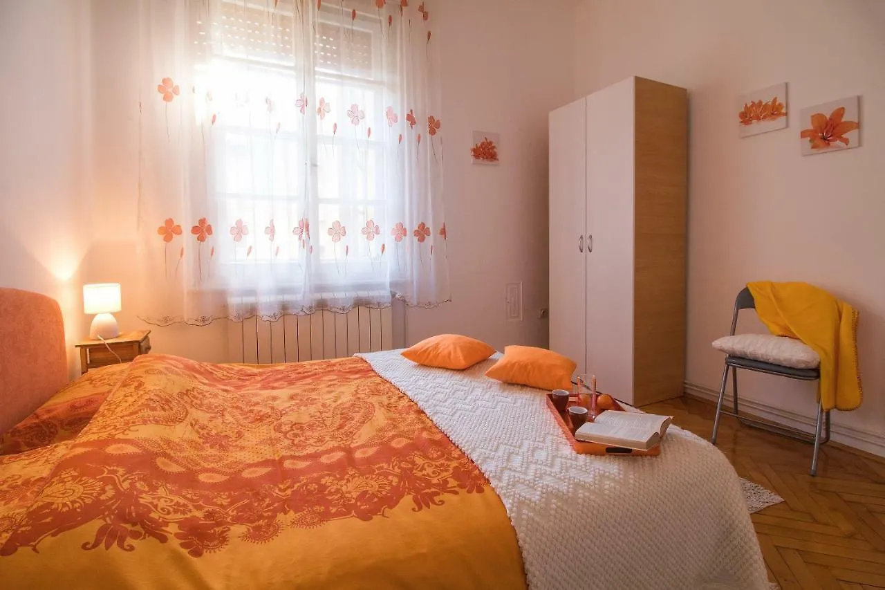 Arena Festival Apartment Pula 0*,